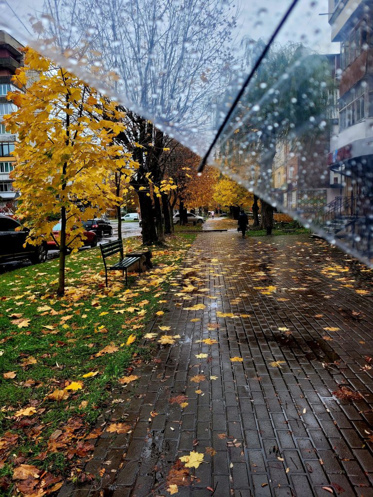 IELTS Speaking Part 1 weather questions: a rainy autumn day in a city park
