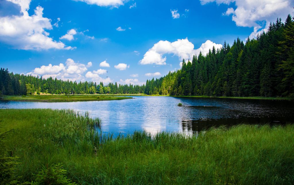 IELTS Speaking Part 2 environment cue cards: a lake surrounded by forest